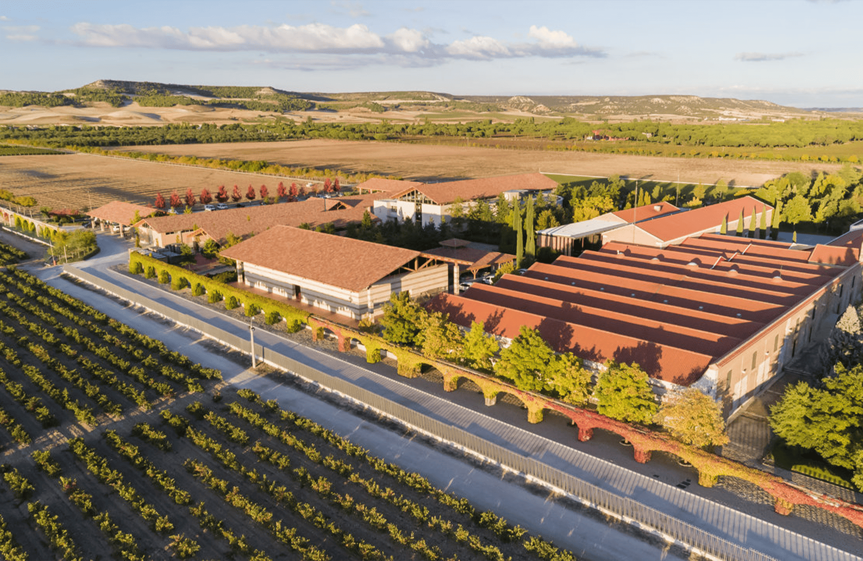 Vins Vega Sicilia - Espagne