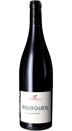 Domaine Yannick Amirault - Les Quartiers 2021 - Bourgueil