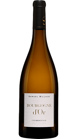 Domaine Samuel Billaud - Bourgogne d'Or 2021 - Bourgogne Blanc